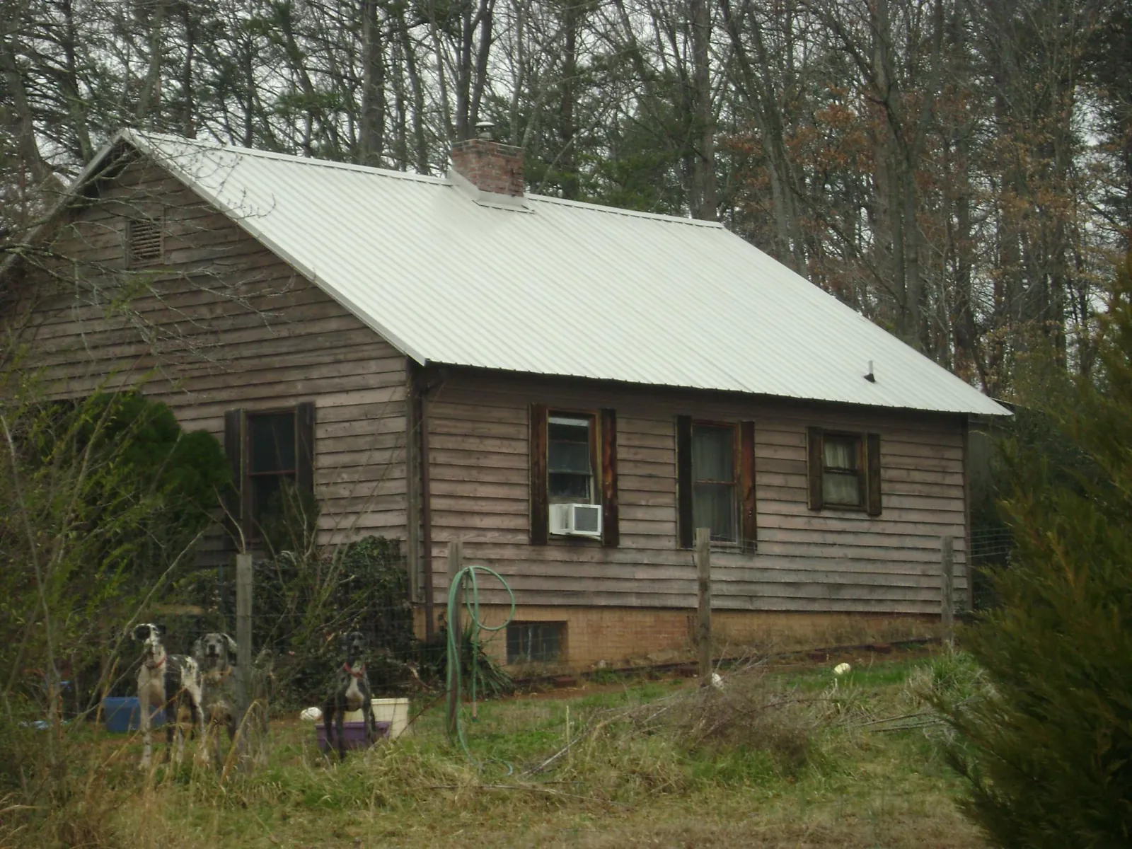 White metal roof on an old wood sided farmhouse, from a Asphalt Shingle Roof Repair job in Ethelsville
